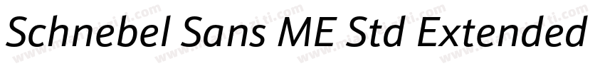 Schnebel Sans ME Std Extended Light字体转换